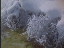 Thumbnail 20