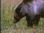 Thumbnail 27