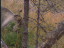 Thumbnail 29