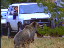 Thumbnail 32