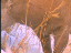 Thumbnail 36