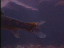 Thumbnail 45