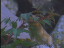 Thumbnail 48
