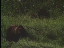 Thumbnail 23