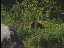Thumbnail 25