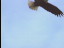 Thumbnail 26