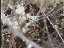 Thumbnail 16