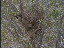 Thumbnail 21