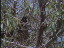 Thumbnail 22