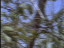 Thumbnail 23