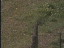 Thumbnail 25