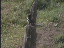 Thumbnail 27