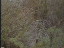 Thumbnail 28
