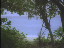 Thumbnail 38