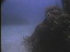 Thumbnail 53