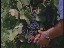 Thumbnail 57