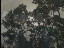 Thumbnail 19