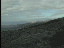 Thumbnail 21
