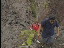 Thumbnail 22