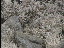 Thumbnail 23