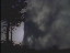 Thumbnail 16