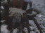 Thumbnail 46