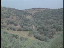 Thumbnail 27