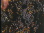 Thumbnail 45