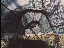 Thumbnail 65