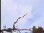Thumbnail 19