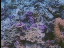 Thumbnail 28
