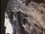 Thumbnail 29