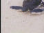 Thumbnail 33