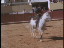 Thumbnail 27