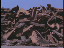 Thumbnail 36
