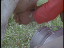 Thumbnail 40