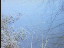 Thumbnail 23