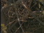 Thumbnail 38