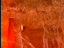 Thumbnail 45