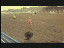 Thumbnail 19