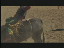 Thumbnail 30