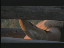 Thumbnail 43