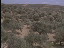 Thumbnail 30