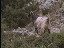 Thumbnail 45