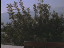 Thumbnail 50