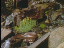 Thumbnail 21