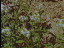 Thumbnail 22