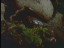 Thumbnail 23