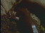 Thumbnail 24