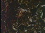 Thumbnail 26